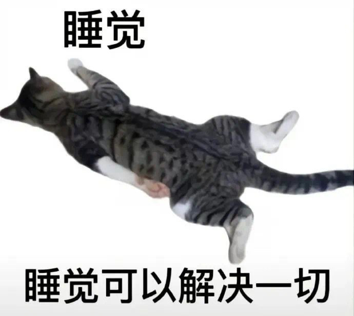 网站建设纪录(二) 网站建设纪录(二)